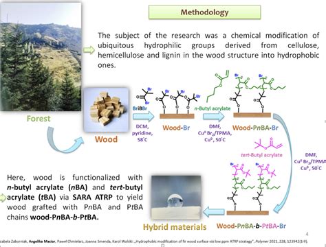 Wood – polymer composites with hydrophobic properties | Milan Polymer Days