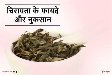 Chirata Benefits & Side Effects in Hindi - चिरायता के फायदे और नुकसान | Chirata Ke Fayde