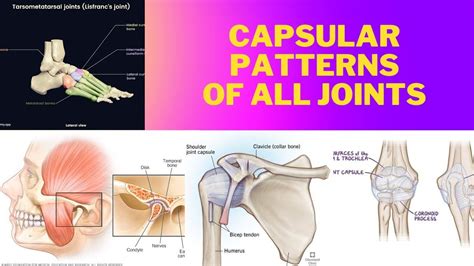 Capsular patterns of joints Of upper & lower Extremity | Easy to learn ...