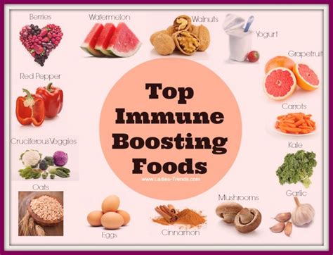 Top Immune Boosting Foods