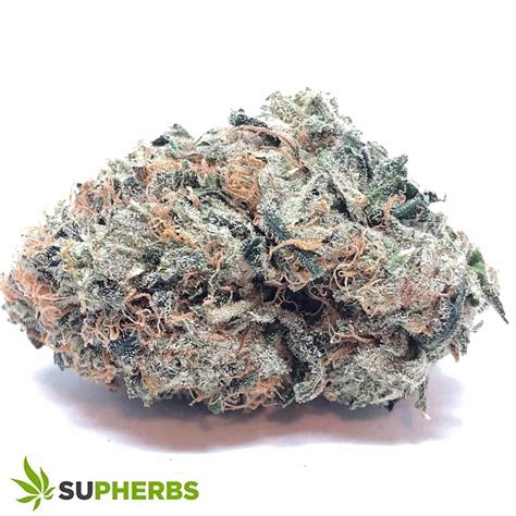 El Jefe - Supherbs - Canada Weed Delivery