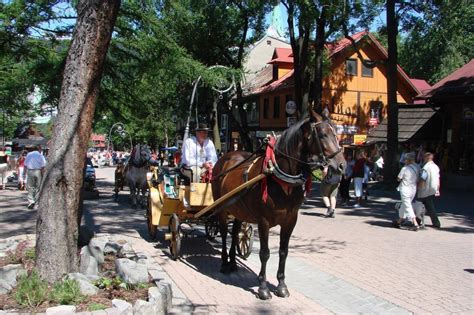 Things Ton Do in Zakopane and Tatra Mountains In Winter | Beauty of Poland