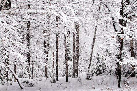 Winter in the Upper Peninsula Photograph by Gwen Gibson - Pixels