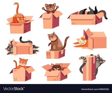 Cat hiding in box cartoon cute domestic animal Vector Image