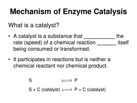 Enzyme The Catalyst