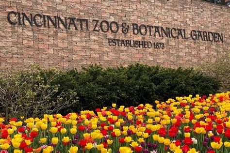 TripAdvisor | Cincinnati Zoo Adventure Ticket provided by Cincinnati Zoo & Botanical Garden | Ohio