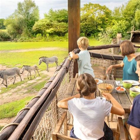 Zoo Leipzig: Tickets ohne Anstehen, Zoo Leipzig | AllEvents.in