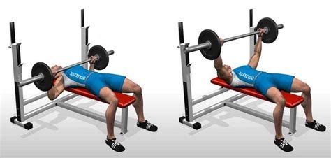 Flat Barbell Bench Press | 10 MOST IMPORTANT MIDDLE CHEST EXERCISES | Pinterest | Flats, Chang'e ...