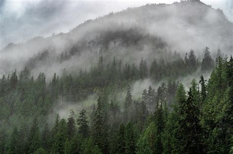 Mountain Fog By Kathryn Photograph by Photography By Phos3 Kathryn Parent and Dave Paddick ...