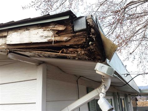 Rooten Fascia Board: How Wood Rot Can Destroy Your Home