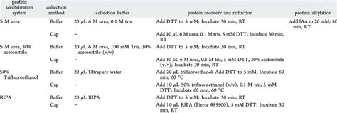 Mammalian Cell Lysis Buffer Recipe | Besto Blog