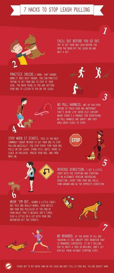 Stop your dog's leash pulling with these handy tips! | Dog training, Dog training obedience, Dog ...