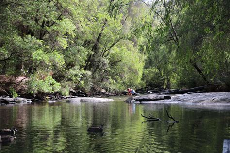 Wellington National Park - WA Parks Foundation