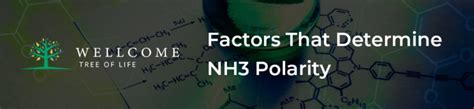 Is NH3 Polar or Nonpolar? Answers Revealed for 2023