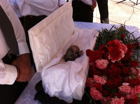 Baby Victimized by Late-Term Abortion Gets Proper Funeral | LifeNews.com