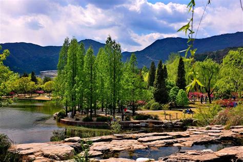 Beijing Botanical Garden is an important base for science education, research and tourism. # ...