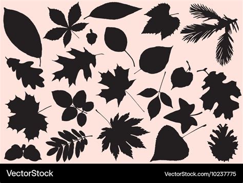 Autumn leaves silhouette Royalty Free Vector Image