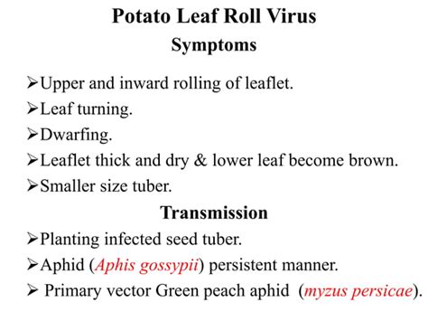 Plant Viruses Diseases and Symptoms | PPT