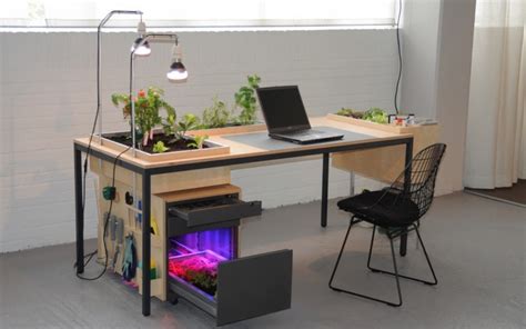 A Desk Garden for Office Plants and Indoor Gardening | GardensAll