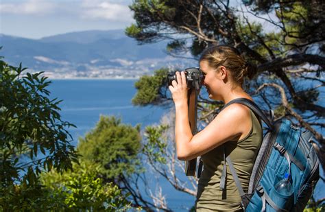 Nature and conservation: Kapiti Island Nature Reserve