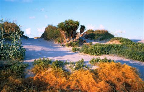 Matagorda Bay Nature and RV Park - Passport America Camping & RV Club