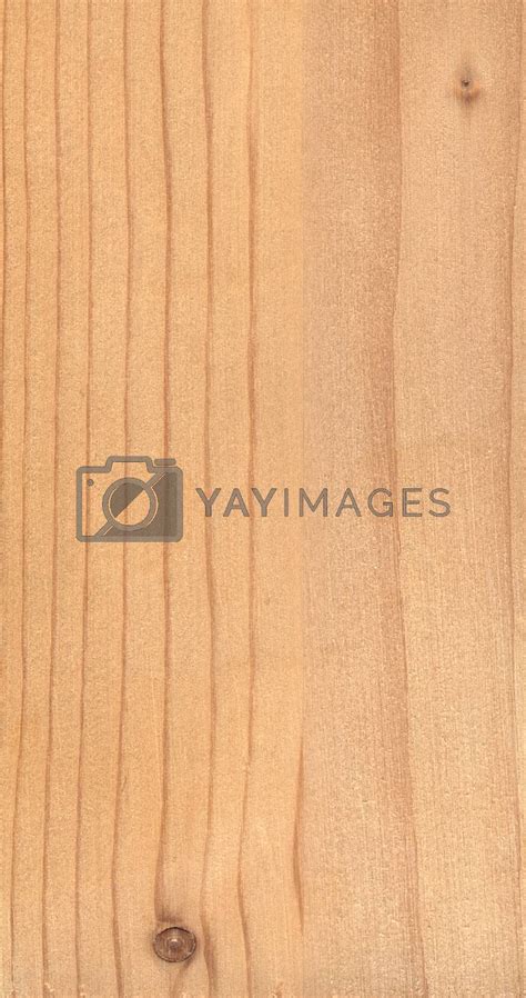 Maple Wood Texture by selensergen Vectors & Illustrations Free download ...