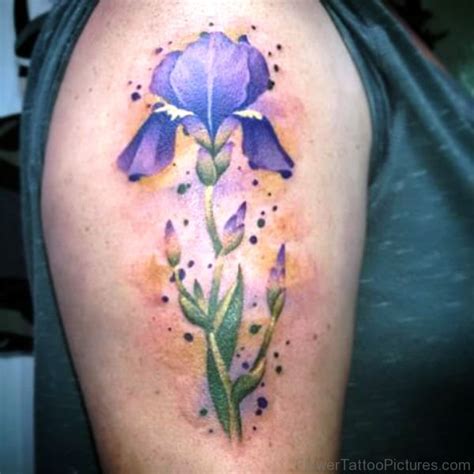 70 Elegant Iris Flower Tattoos