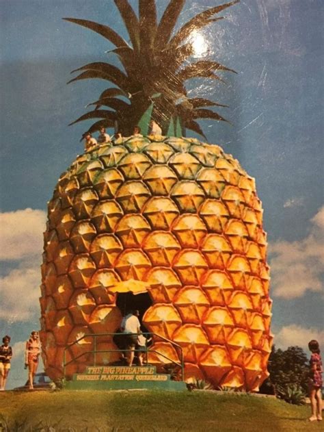 The Big Pineapple is 50, and Princess Di's carriage has been found just in time for the party ...