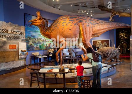 Dinosaur Exhibit, San Diego Natural History Museum, Balboa Park, San ...