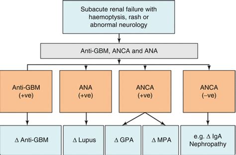 Rapidly Progressive Glomerulonephritis | SpringerLink