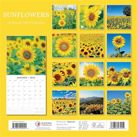 Sunflowers Calendar 2024 - The Calendar and Gift Company