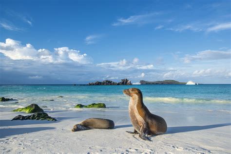 L'Ecuador e le Isole Galápagos riaprono le frontiere ai viaggiatori vaccinati - Lonely Planet