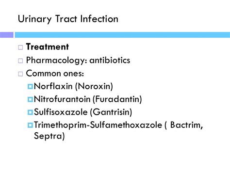 Brown recluse spider bite antibiotics