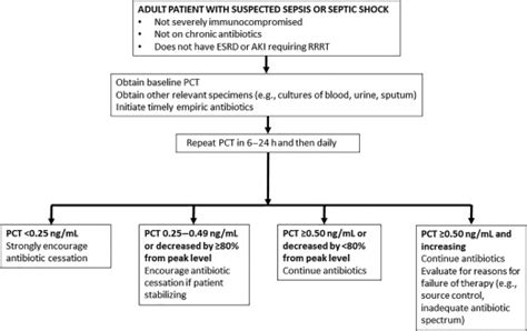 Uses of Procalcitonin as a Biomarker in Critical Care Medicine - Infectious Disease Clinics