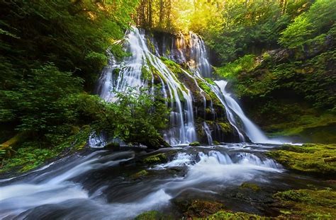 Download Forest Stream Nature Waterfall HD Wallpaper