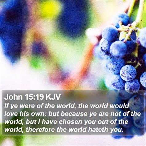 John 15:19 KJV Bible Verse Images