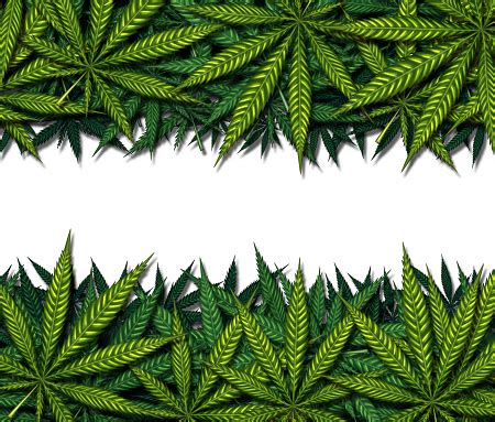 Marijuana Border Design Stock Photo - Download Image Now - iStock