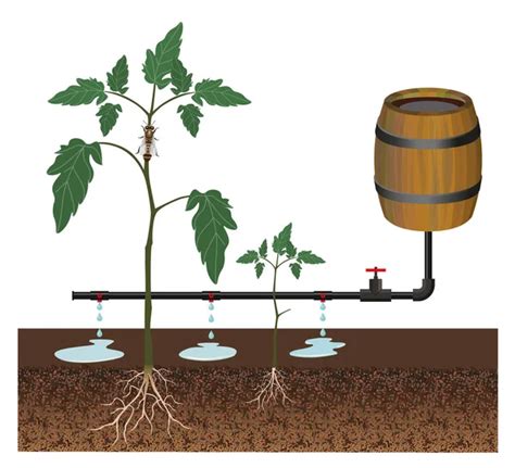 Drip Irrigation System: An Overview – Wearable Senses