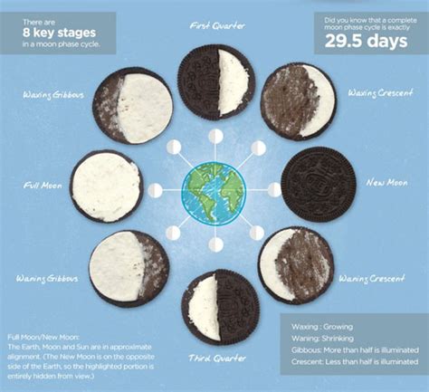 Moon Phases Explained With Oreos – Foodiggity