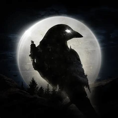 NIGHT CROWS | Global - Games