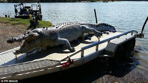 Bounty for information on croc-killers in North Queensland | Daily Mail Online