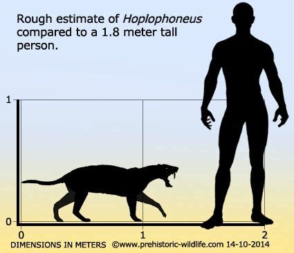 Hoplophoneus is one of the best known of the Nimravids. It was a small ...