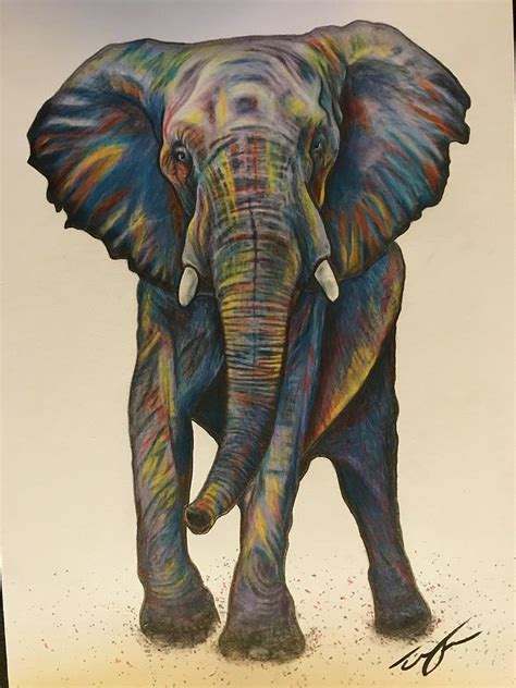 Color elephant Drawing by Timothy Ferrone - Pixels