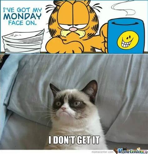 Cat Memes, Funny Memes, Monday Face, Monday Humor, Meme Center, Grumpy Cat, Garfield, Tweety ...