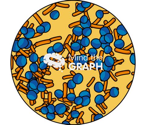 Biofilm bacteria zoom