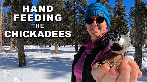 Snowshoeing Chickadee Ridge - Winter at Tahoe Meadows - YouTube