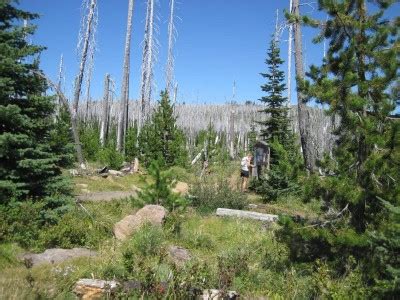 Santiam Pass Trailhead - Hiking in Portland, Oregon and Washington