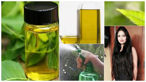 Multipurpose Homemade Neem oil | Vedics