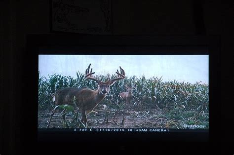 Outdoor Hunting TV Shows Unrealistic? - AllOutdoor.com