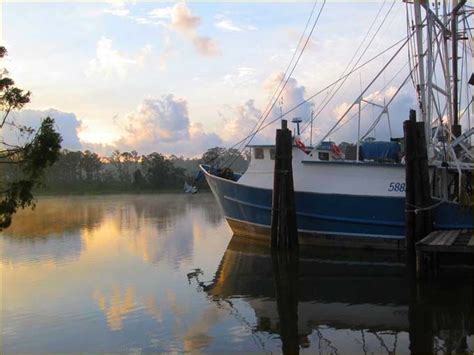 An Early Summer Morning In Bon Secour, Alabama | Southern road trips ...